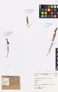 SW_BNB_s3080-01458_IMG-0000000001