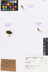 SW_BNB_s3080-01459_IMG-0000000001