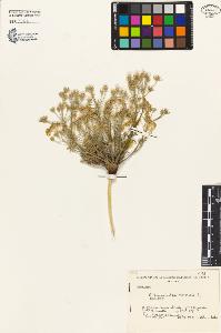 SW_BNB_s3080-01488_IMG-0000000001