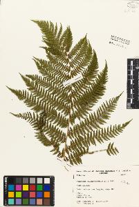 SW_BNB_s3080-01492_IMG-0000000001