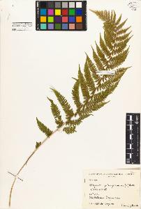 SW_BNB_s3080-01494_IMG-0000000001