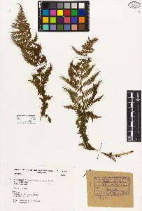 SW_BNB_s3080-01496_IMG-0000000001