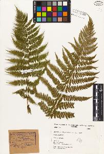 SW_BNB_s3080-01497_IMG-0000000001