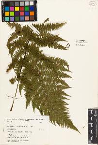 SW_BNB_s3080-01502_IMG-0000000001
