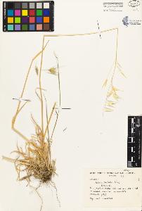 SW_BNB_s3080-01507_IMG-0000000001