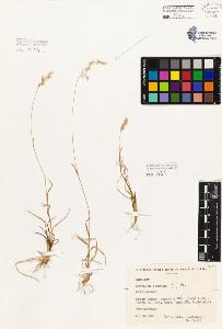 SW_BNB_s3080-01510_IMG-0000000001