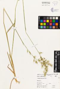SW_BNB_s3080-01512_IMG-0000000001