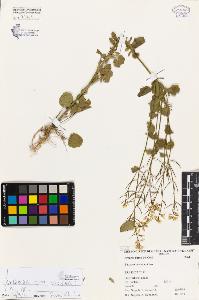 SW_BNB_s3080-01518_IMG-0000000001