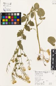 SW_BNB_s3080-01519_IMG-0000000001