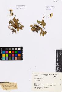 SW_BNB_s3080-01524_IMG-0000000001