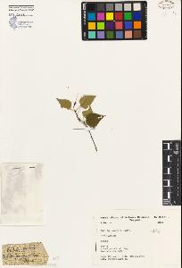 SW_BNB_s3080-01534_IMG-0000000001