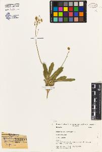 SW_BNB_s3080-01537_IMG-0000000001