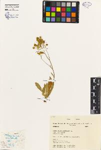 SW_BNB_s3080-01541_IMG-0000000001