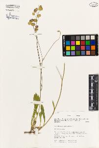 SW_BNB_s3080-01542_IMG-0000000001
