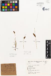 SW_BNB_s3080-01557_IMG-0000000001