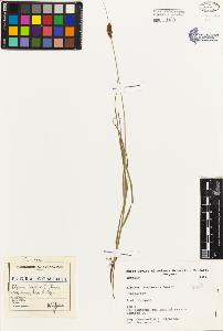 SW_BNB_s3080-01558_IMG-0000000001