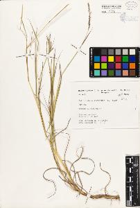 SW_BNB_s3080-01563_IMG-0000000001