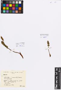 SW_BNB_s3080-01566_IMG-0000000001