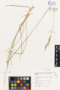 SW_BNB_s3080-01569_IMG-0000000001