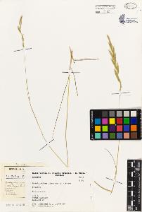 SW_BNB_s3080-01570_IMG-0000000001