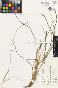 SW_BNB_s3080-01571_IMG-0000000001