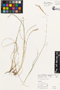 SW_BNB_s3080-01572_IMG-0000000001