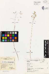 SW_BNB_s3080-01578_IMG-0000000001