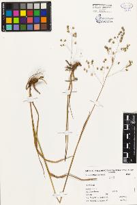 SW_BNB_s3080-01580_IMG-0000000001
