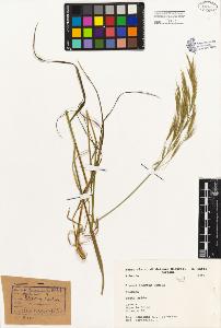 SW_BNB_s3080-01583_IMG-0000000001