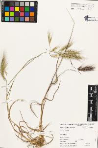 SW_BNB_s3080-01591_IMG-0000000001