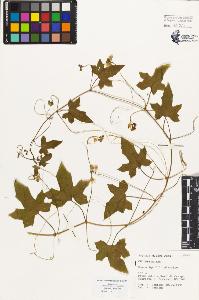 SW_BNB_s3080-01596_IMG-0000000001