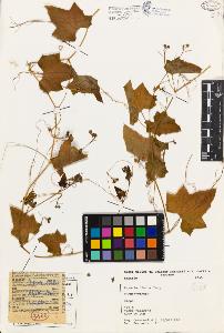 SW_BNB_s3080-01597_IMG-0000000001