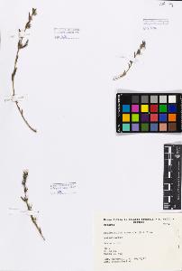 SW_BNB_s3080-01603_IMG-0000000001