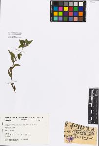 SW_BNB_s3080-01604_IMG-0000000001