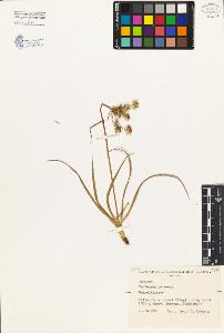 SW_BNB_s3080-01617_IMG-0000000001