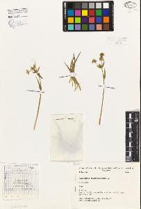 SW_BNB_s3080-01619_IMG-0000000001