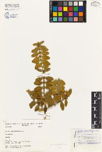 SW_BNB_s3080-01624_IMG-0000000001