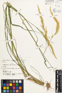 SW_BNB_s3080-01629_IMG-0000000001