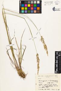 SW_BNB_s3080-01634_IMG-0000000001