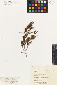 SW_BNB_s3080-01647_IMG-0000000001