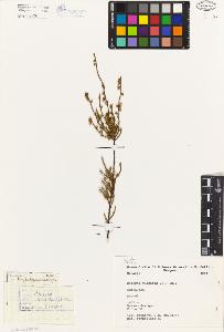 SW_BNB_s3080-01650_IMG-0000000001