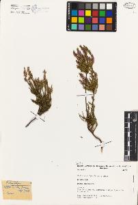 SW_BNB_s3080-01652_IMG-0000000001