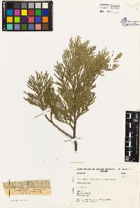 SW_BNB_s3080-01653_IMG-0000000001