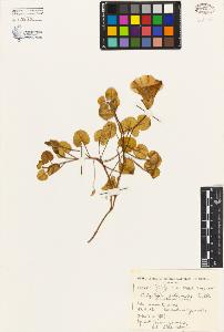 SW_BNB_s3080-01658_IMG-0000000001