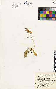 SW_BNB_s3080-01664_IMG-0000000001
