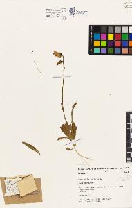 SW_BNB_s3080-01666_IMG-0000000001