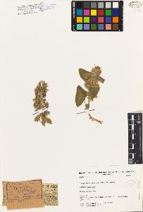 SW_BNB_s3080-01670_IMG-0000000001