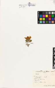 SW_BNB_s3080-01676_IMG-0000000001