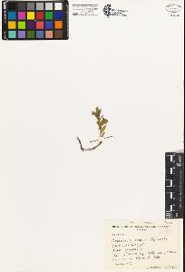 SW_BNB_s3080-01677_IMG-0000000001