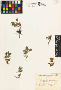 SW_BNB_s3080-01678_IMG-0000000001